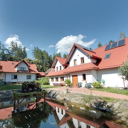 涅兹卡城堡 Osrodek Wczasowy Kasztel酒店 外观 照片